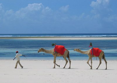 A sabbatical in Africa..