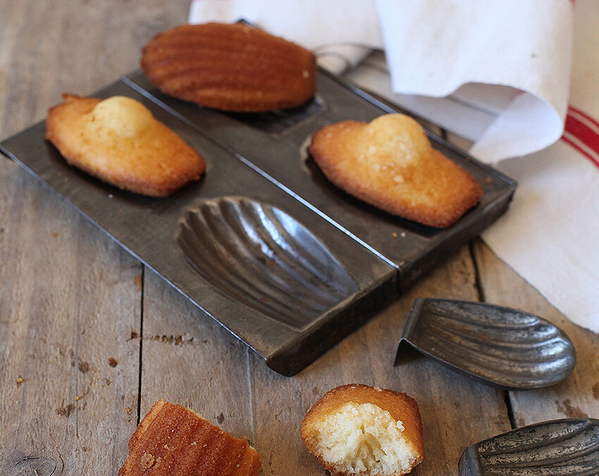 Madeleines